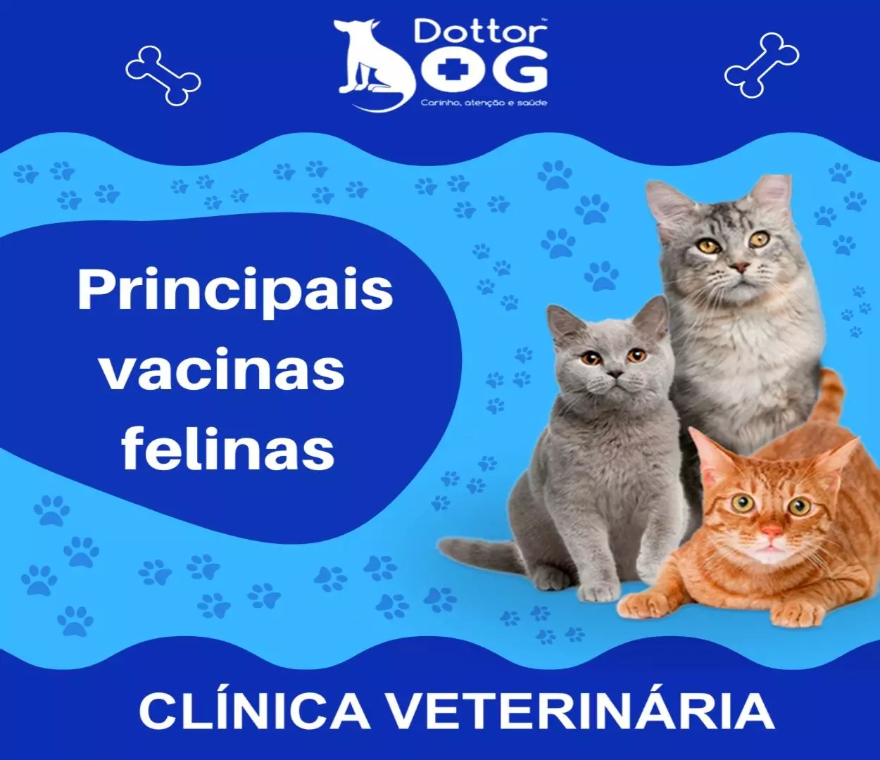 PRINCIPAIS VACINAS FELINAS